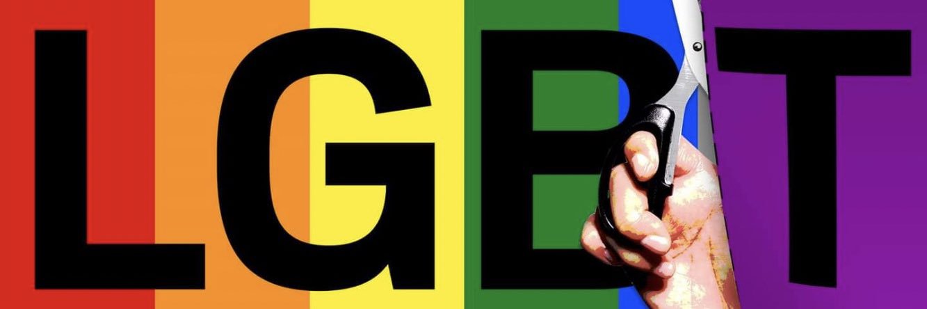 Grumpy Gay Dee Vance banner