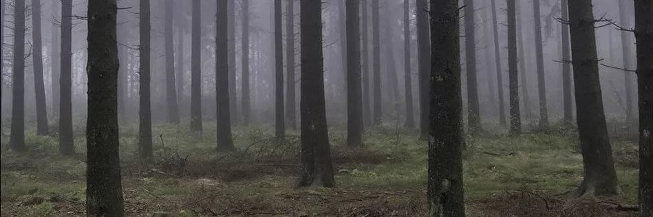 HereKurt's profile banner image