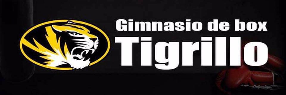tigrillo_team's profile banner image