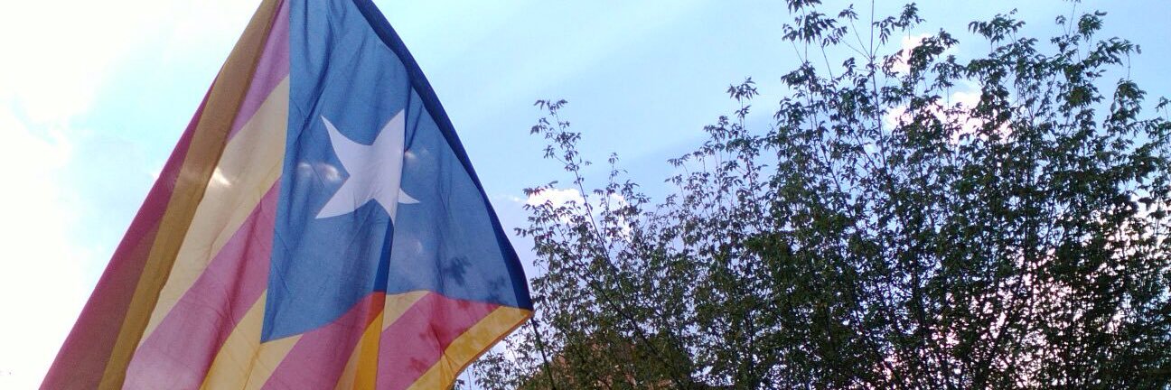 Elisabet Descals banner