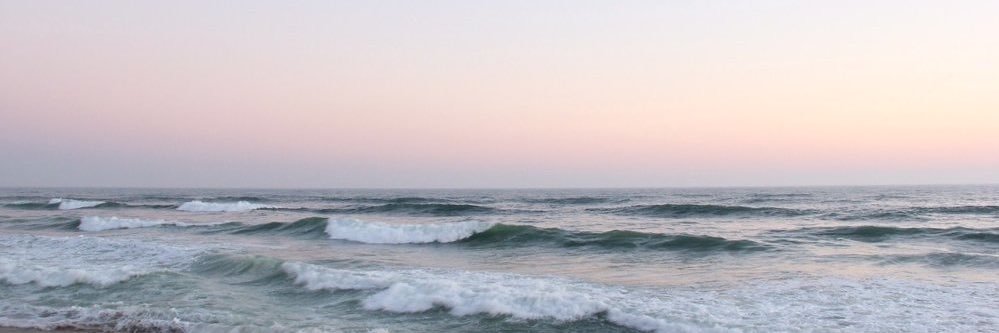 sushiundwein's profile banner image