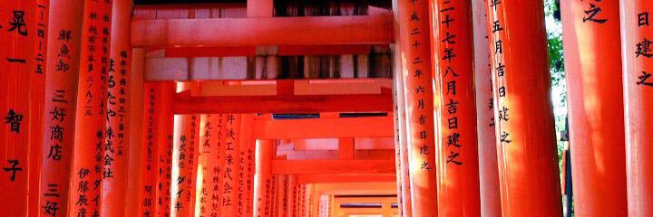 p_YoY_q's profile banner image