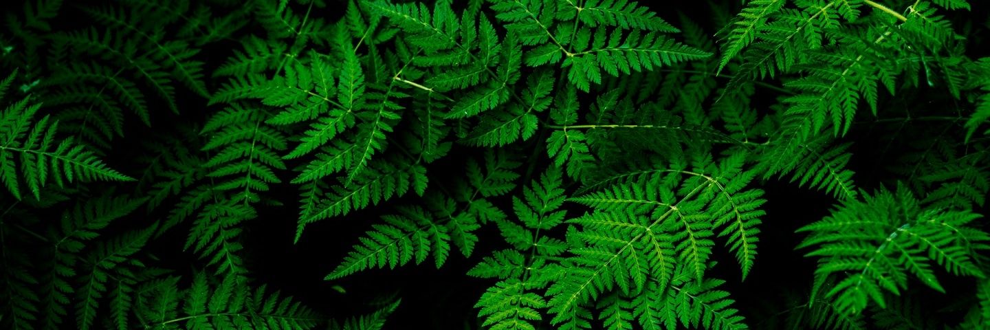 JustinKelly05's profile banner image