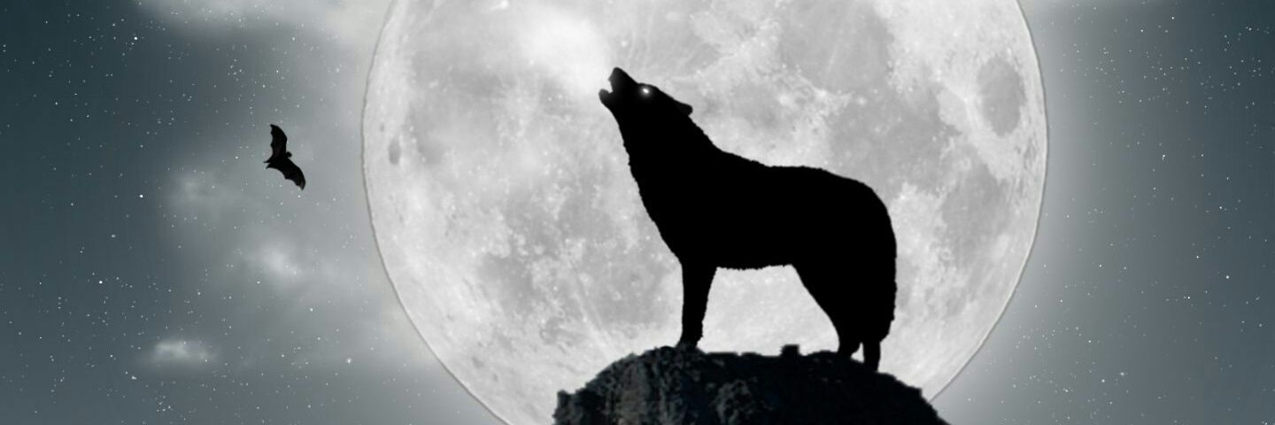 nladystark's profile banner image