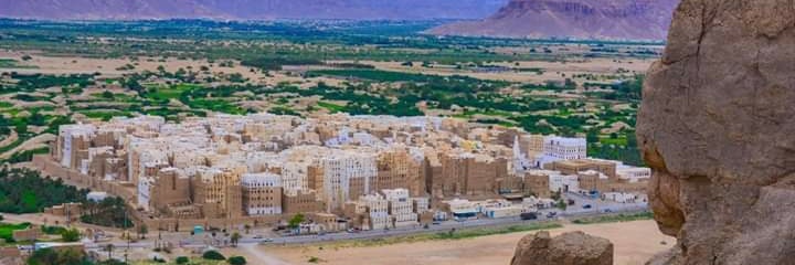 عوض محمد باشن banner