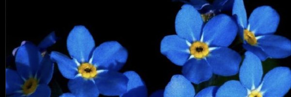 greenbridge_sb Profile Banner