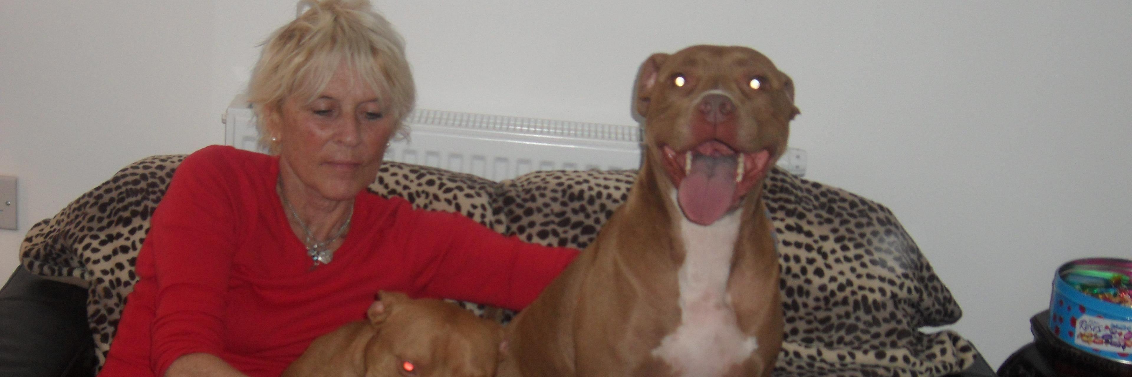 lindabadham's profile banner image