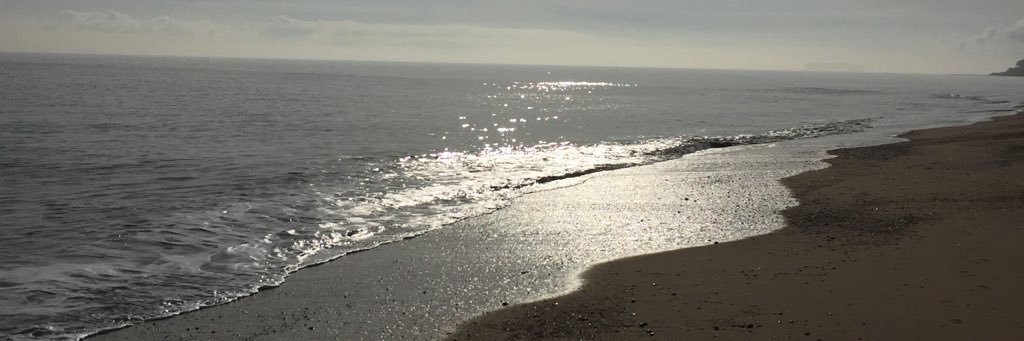 chunkywade's profile banner image