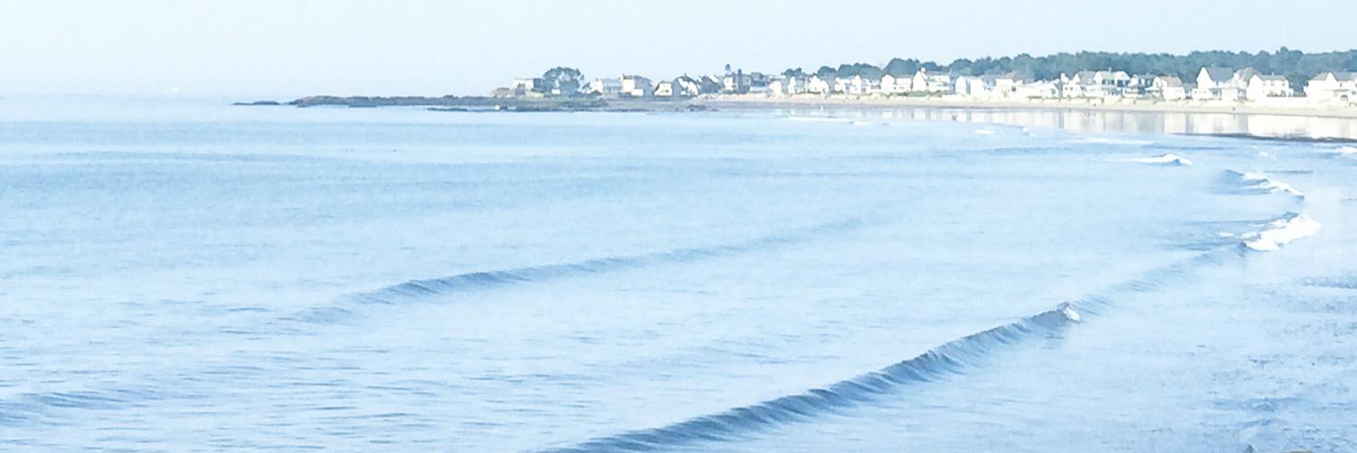 Seacoast Lately banner