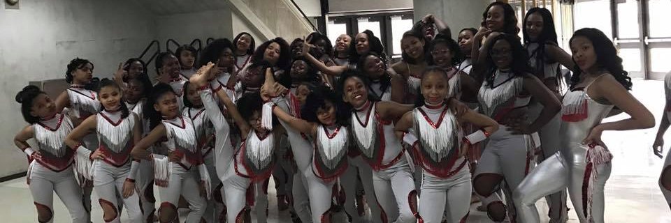 SilverStarlets_'s profile banner image