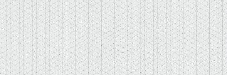 Dutch Einsteins banner
