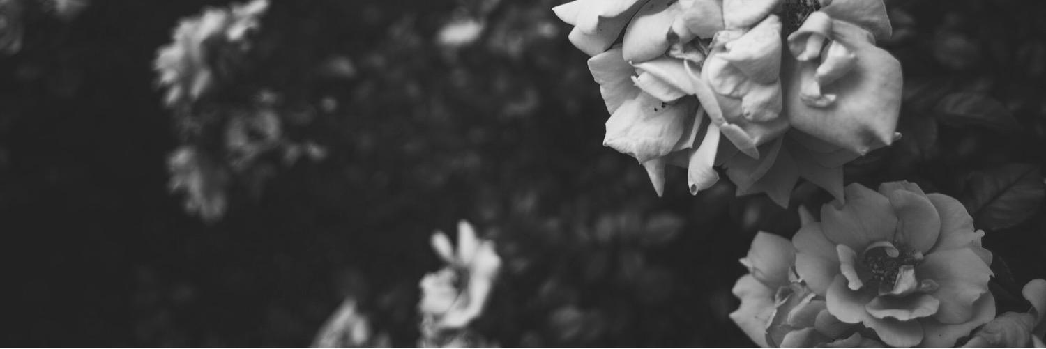 stevenwex's profile banner image