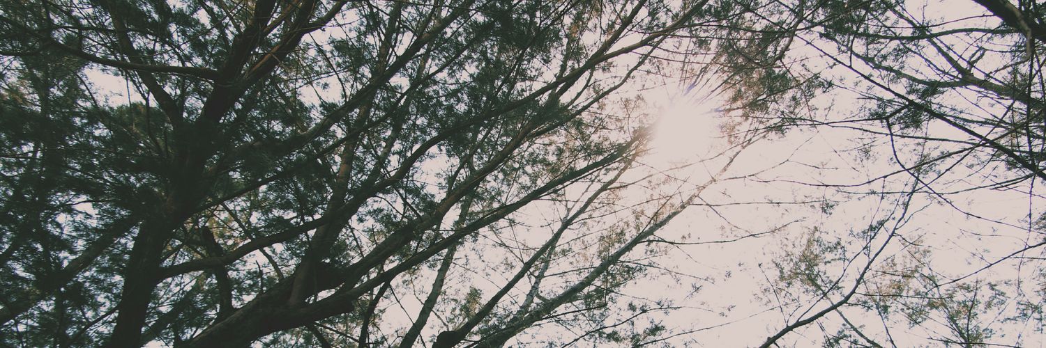 kmcntt's profile banner image