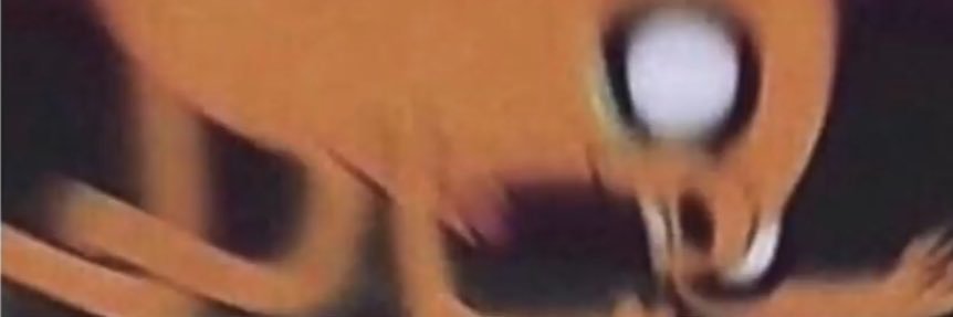 papagna94's profile banner image