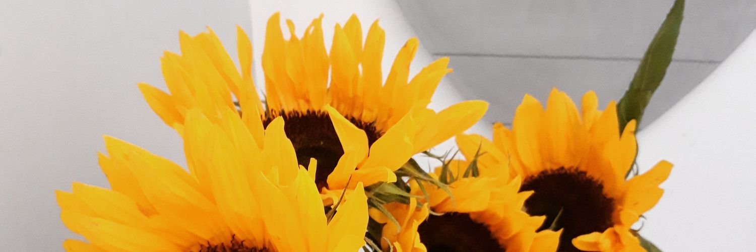 HeyHeyHazel94's profile banner image
