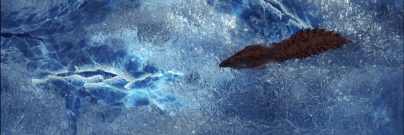 harvonh's profile banner image