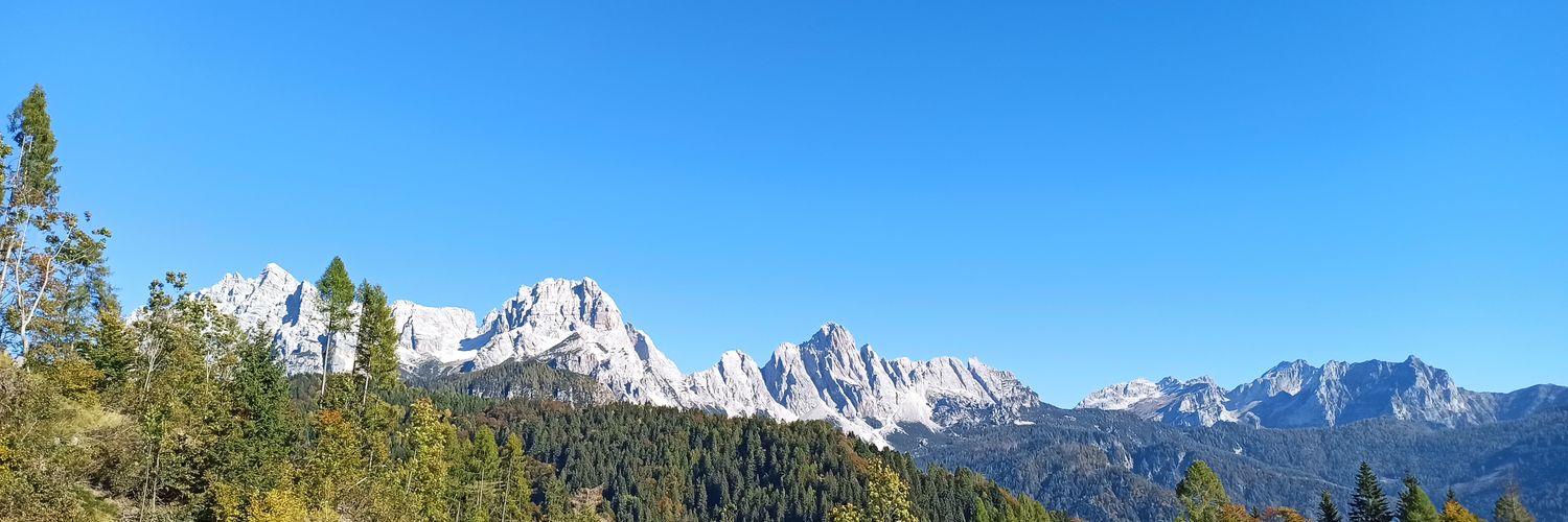daroncheco's profile banner image