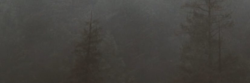 yaboybm's profile banner image