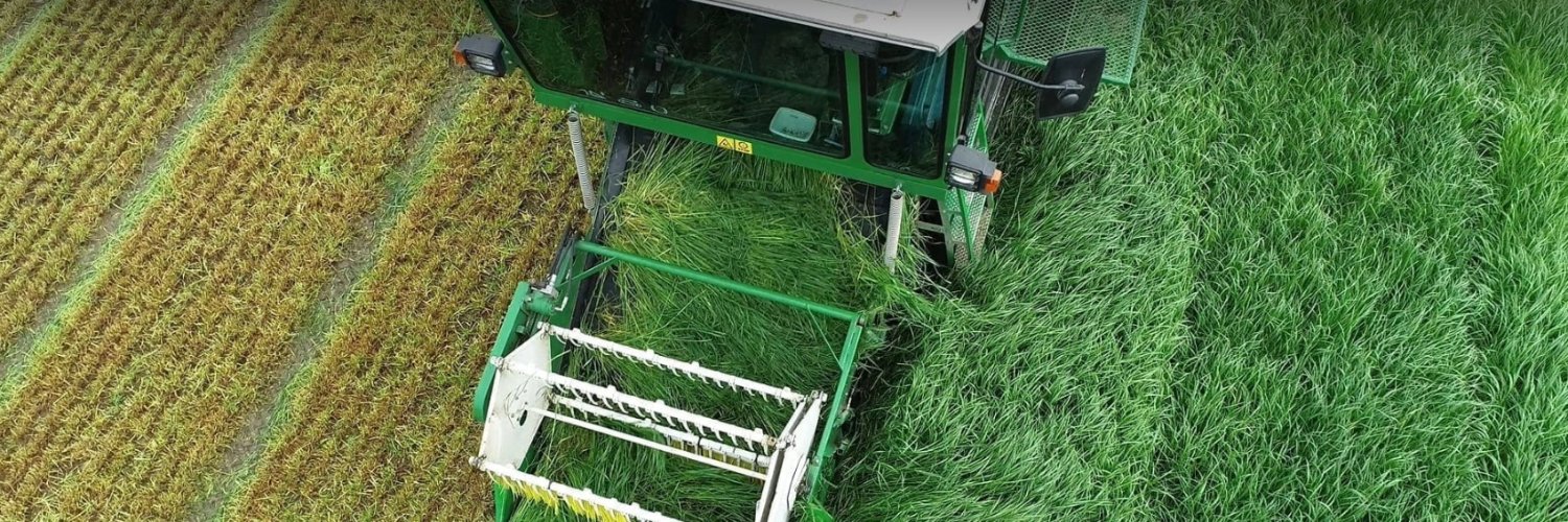 DLF Seeds IRL banner