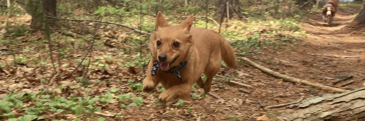 Kara Hendrick banner