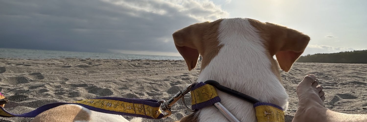 GonzalezLuigi's profile banner image