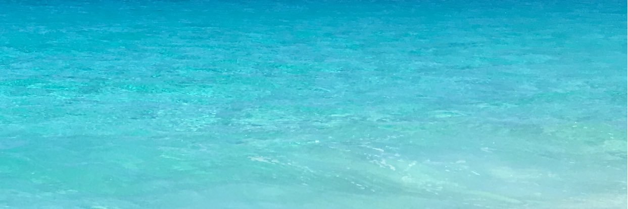 sofia2123's profile banner image