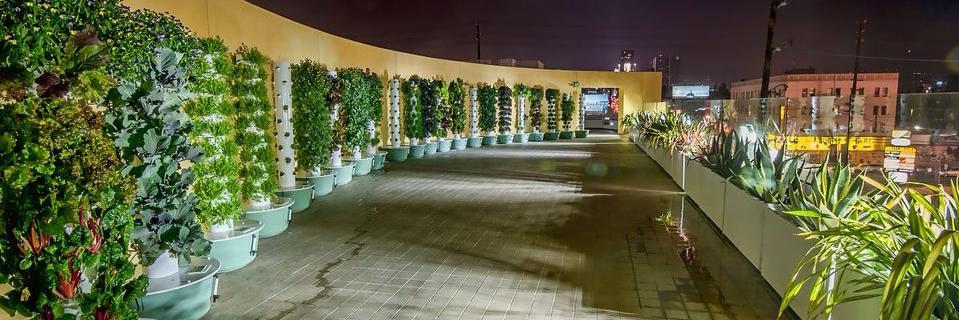 GrowFreshGreens's profile banner image