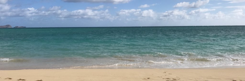 briannacase93's profile banner image