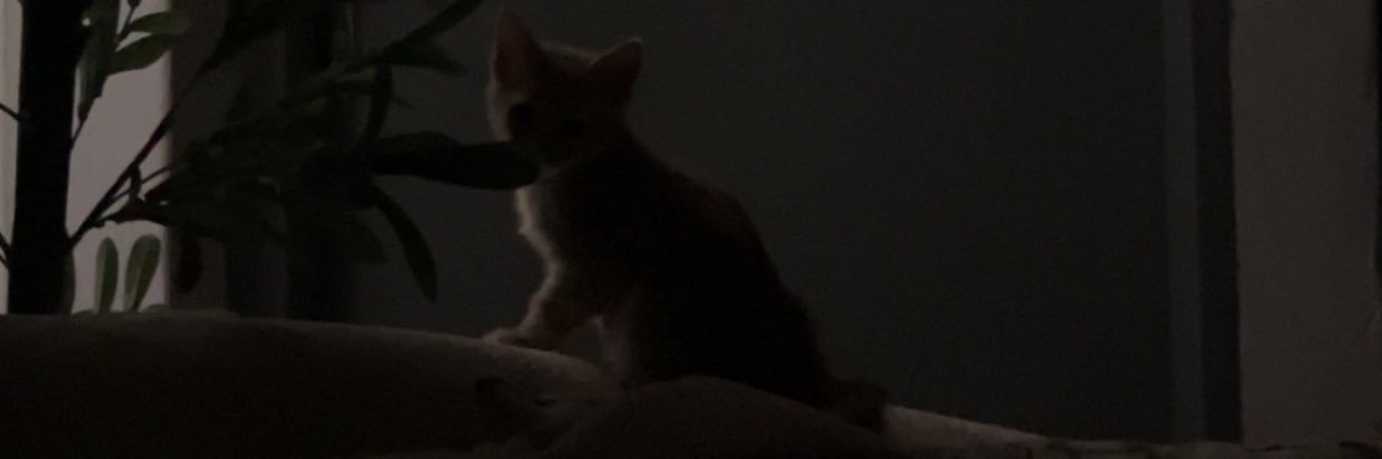llody88's profile banner image