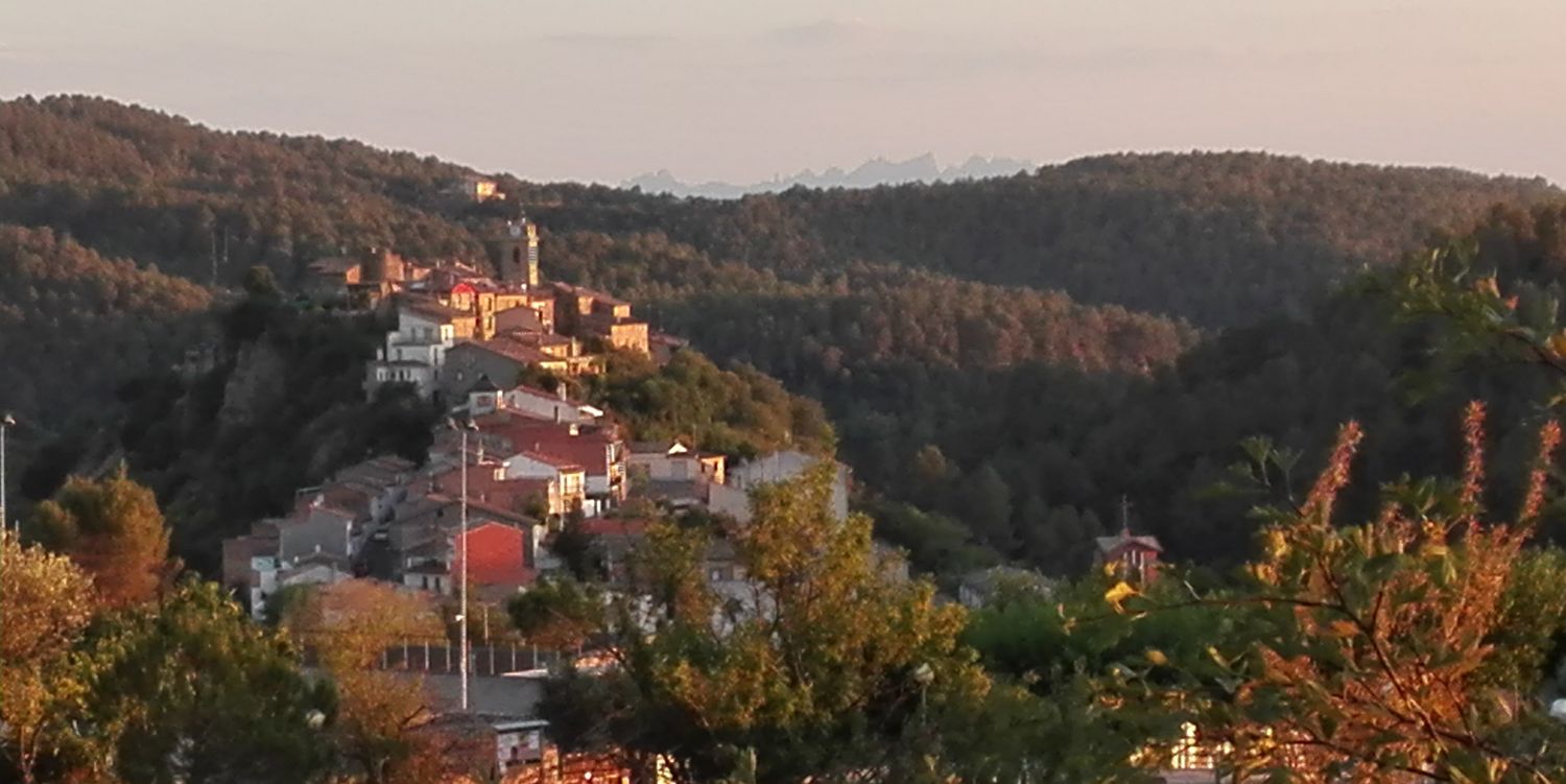 Ajuntament d'Oló banner