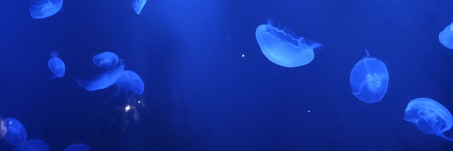 Haku~ banner
