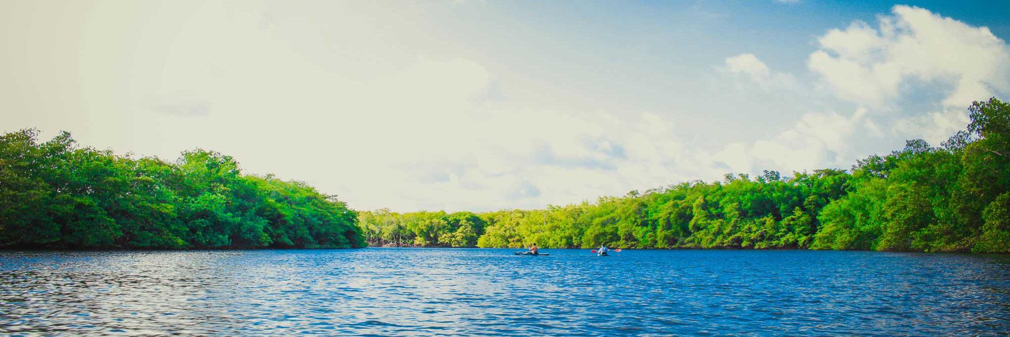 waterislife2016's profile banner image