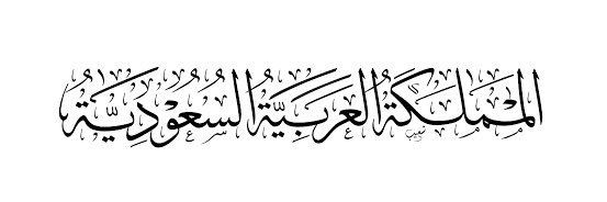 فـيـصـل💎 banner