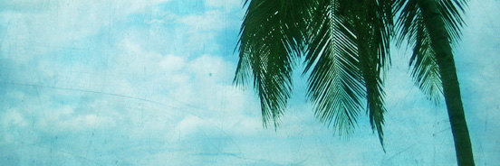 Top Ten Travel Tips banner