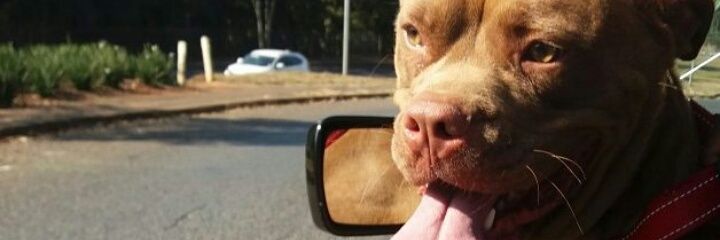 Brian_nutty's profile banner image