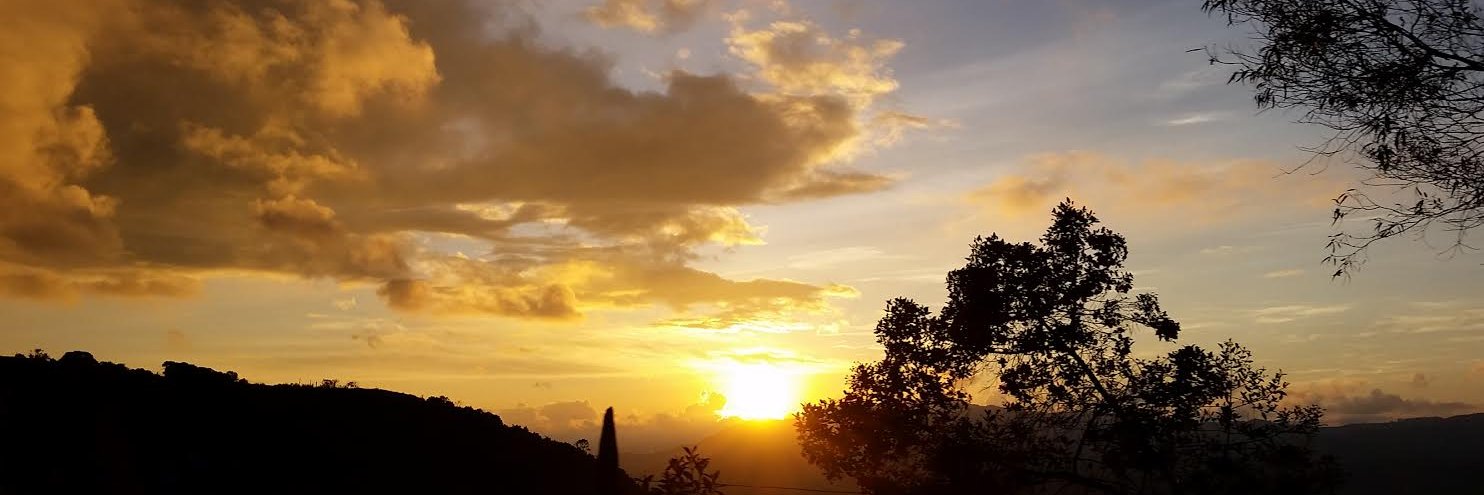 JuanRodes's profile banner image