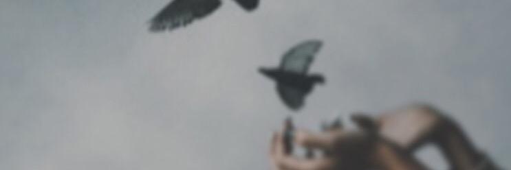 300Hdal's profile banner image