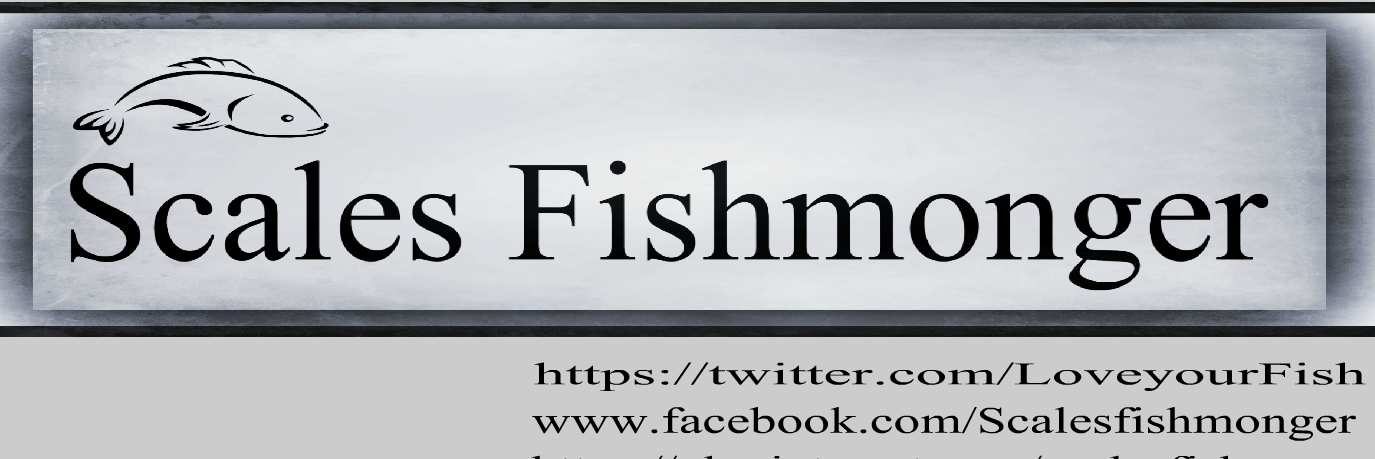 LoveyourFish's profile banner image