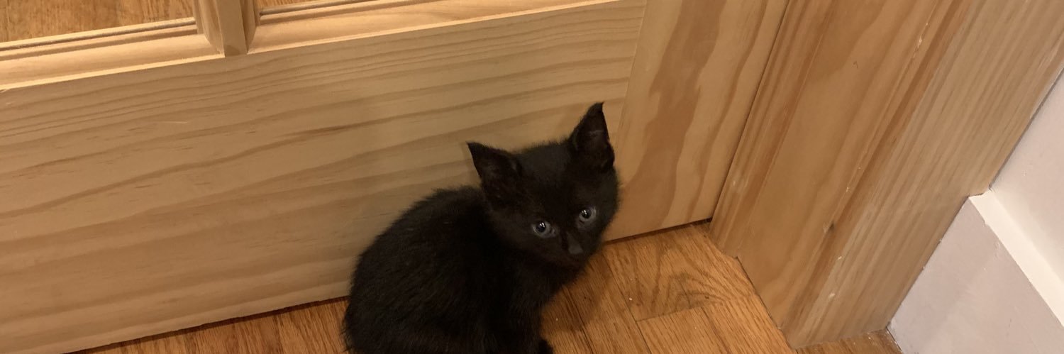 littlebabber's profile banner image