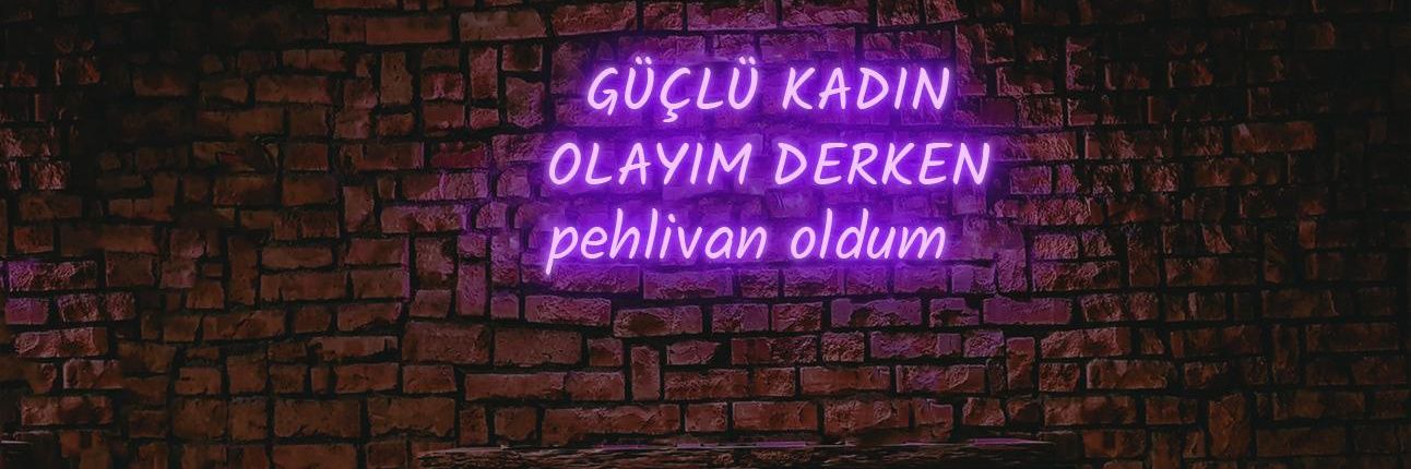 ftmaltay's profile banner image