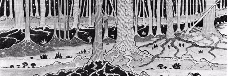 baby pumpkin seed banner