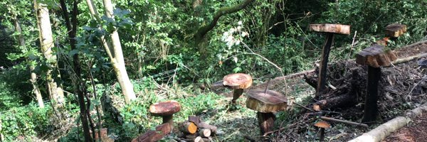 MellorPrimary Profile Banner