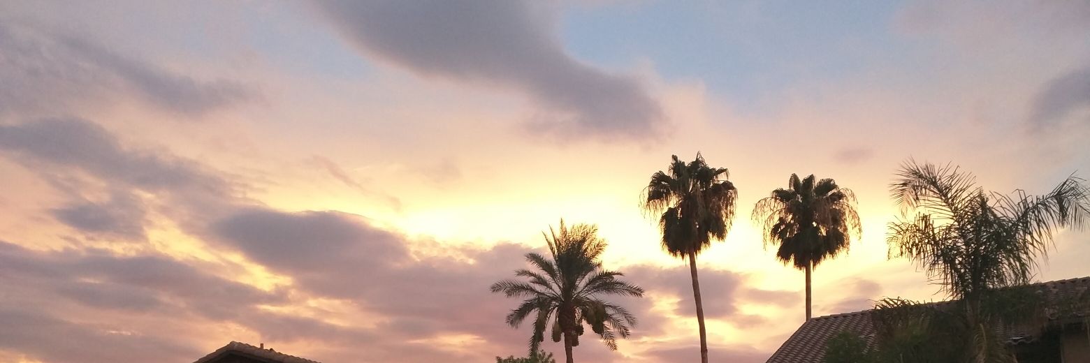 PatrickHanson's profile banner image
