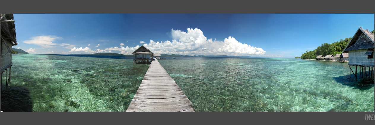 rajaampat's profile banner image