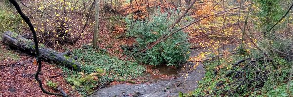 HubertHobux Profile Banner