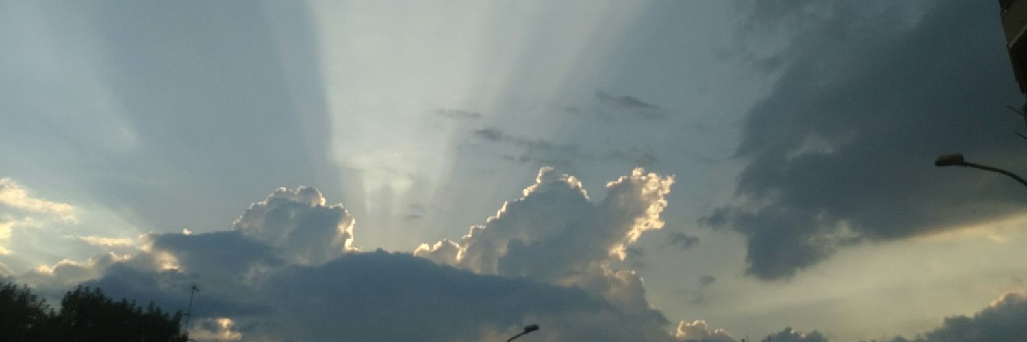 William Savoca banner