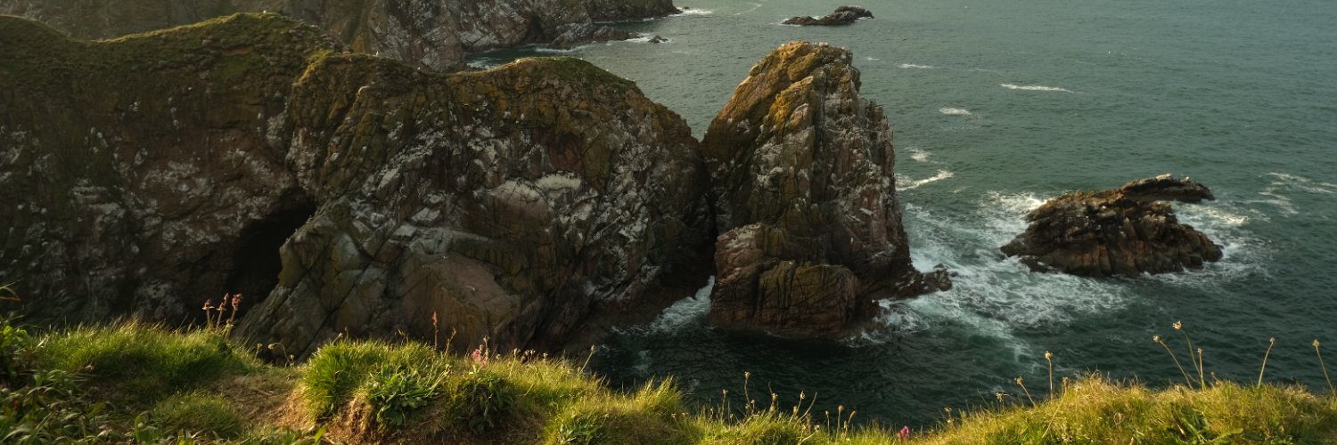 Celine Strohbehn banner