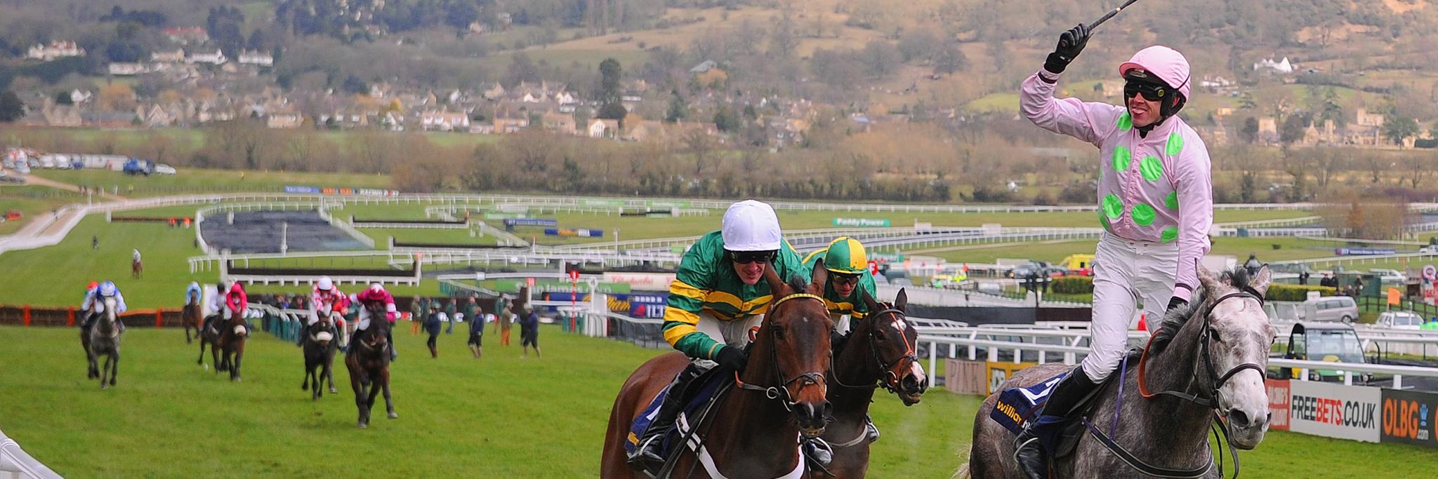 cheltmental's profile banner image