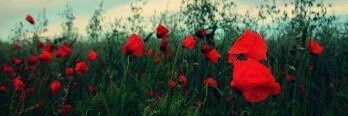MaryLopez_25's profile banner image