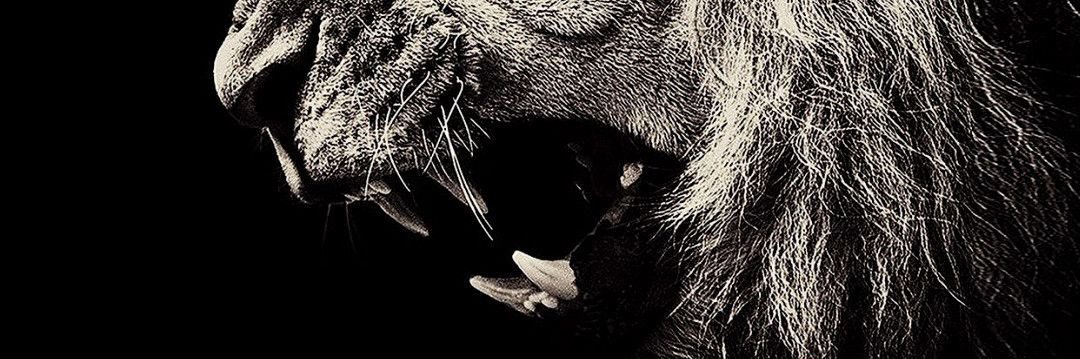 RayDcosta's profile banner image